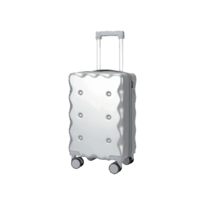 Silver Travel Spinner Luggage