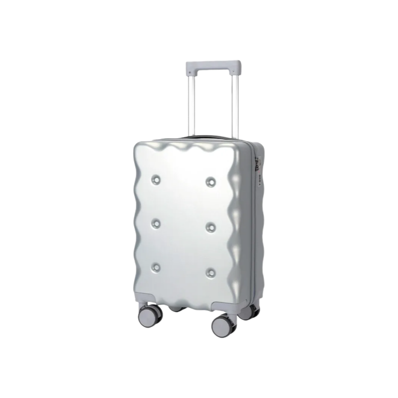 Silver Travel Spinner Luggage