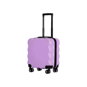 Dark Violet Kids 18" Luggage