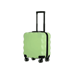 Light Green Kids 18" Luggage